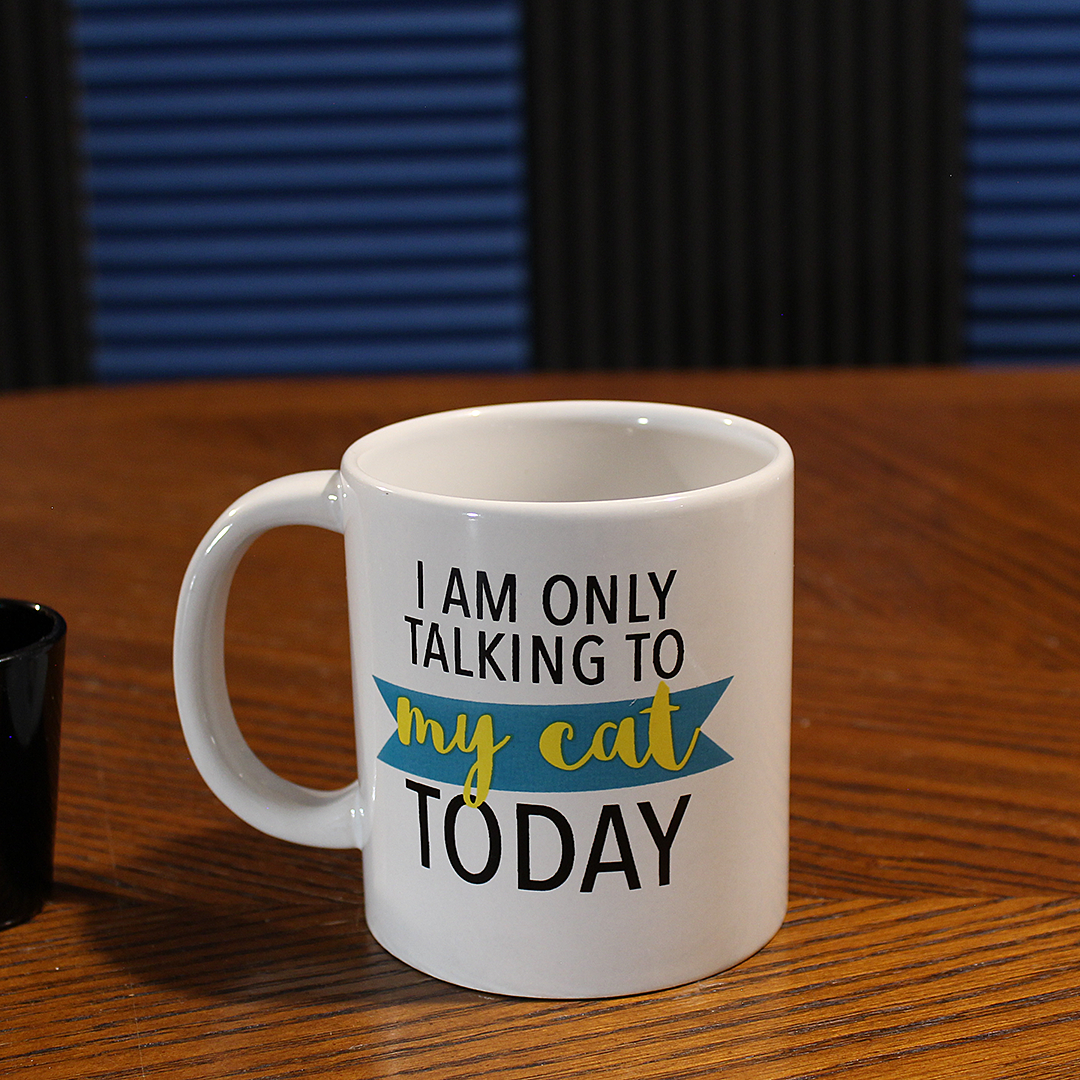 I Am Only Talking To My Cat Today Stoneware Mug (14 oz)