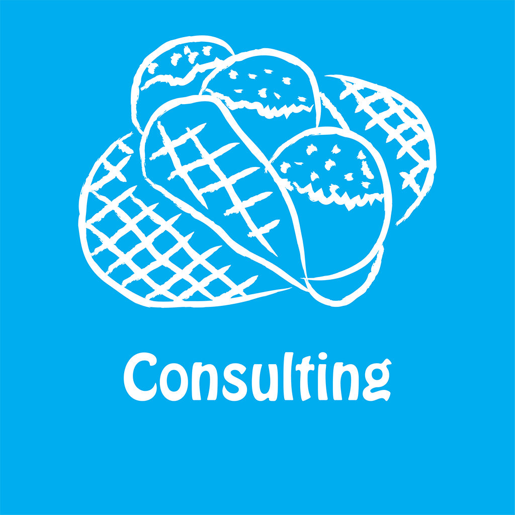 Consulting Services