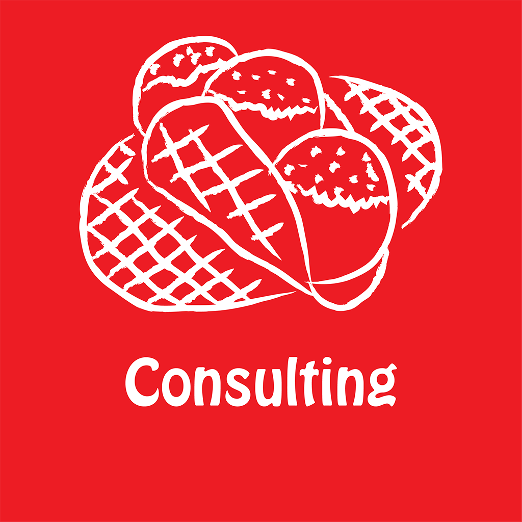 Consulting Services